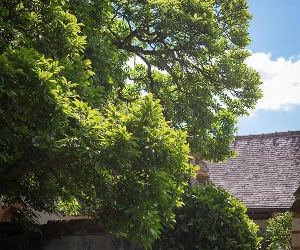 Affittacamere L'expérience Hôtel&spa - Angers Saumur - Casa Mila Loire